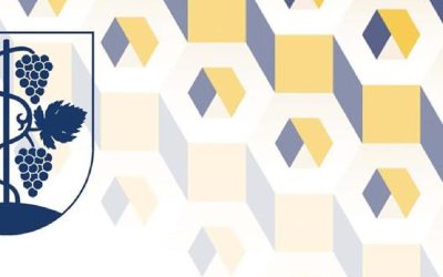 W styczniu 2024 rozpocznie się proces składania wniosków – Zbrosławice